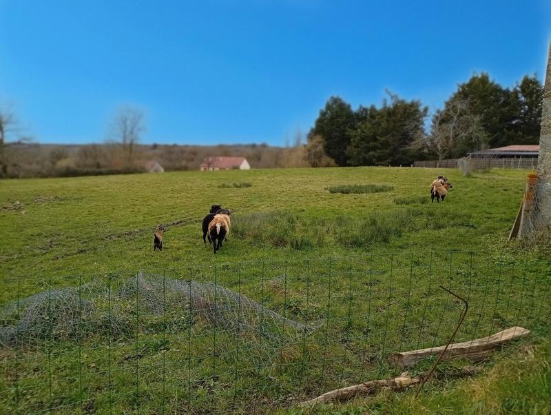 Maison - 159 m² - 6 pièces