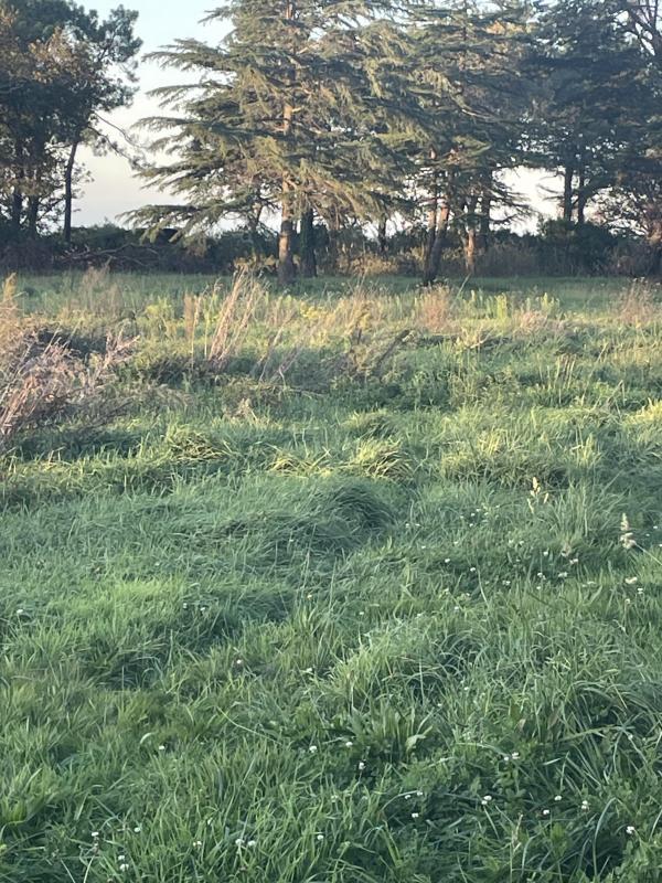 Terrain constructible - 738 m²