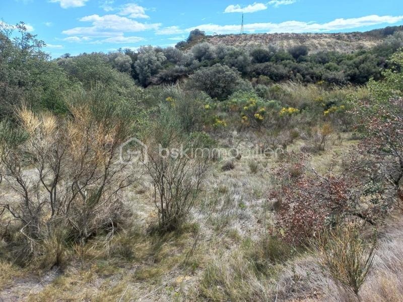 Terrain de loisirs - 4 440 m²