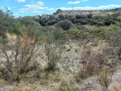 Terrain de loisirs - 4 440 m²