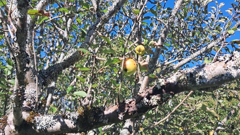 Maison en pierre - 130 m² - 4 pièces