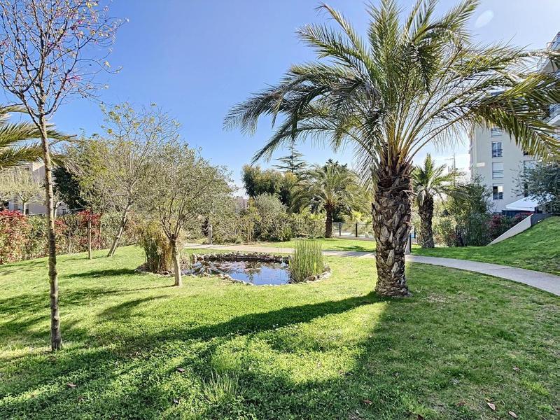 Studio - 30 m² - 1 pièce