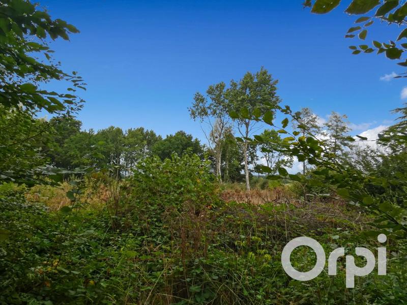 Terrain constructible - 2 207 m²