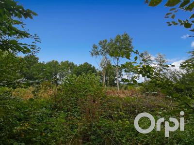 Terrain constructible - 2 207 m²