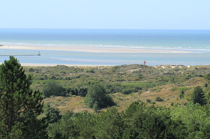 Réserve Naturelle Nationale de la Baie de Canche - de la dune boisée à l'estuaire