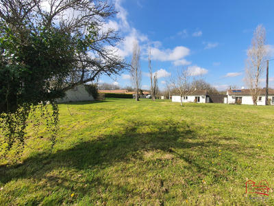 Terrain - 905 m²