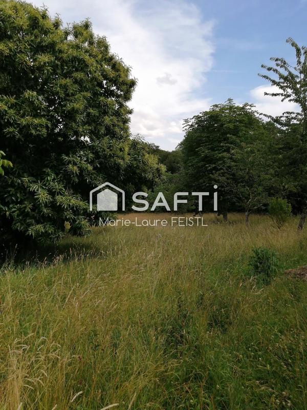 Maison - 194 m² - 12 pièces