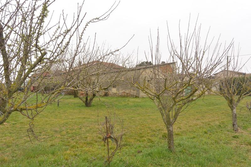 Maison - 400 m² - 7 pièces