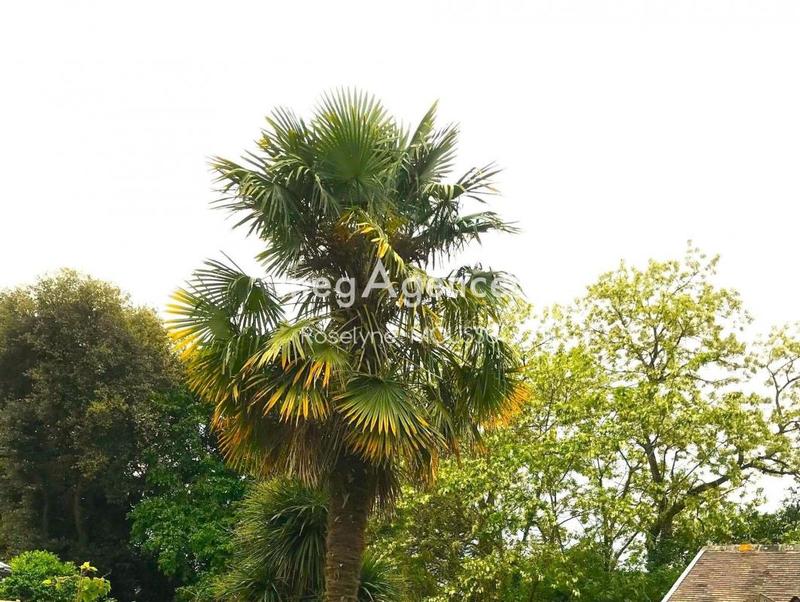 Terrain constructible - 1 000 m²