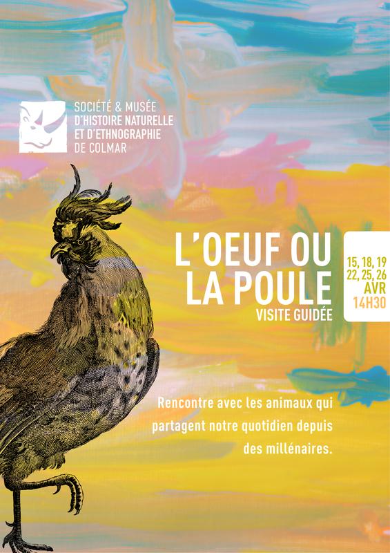 L'œuf ou la poule