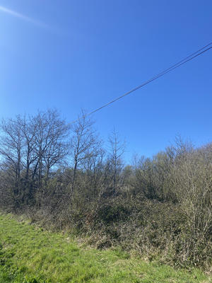 Terrain agricole - 3 100 m²