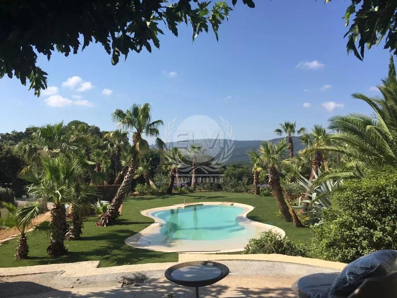 Viager - Maison - 307 m² - 6 pièces