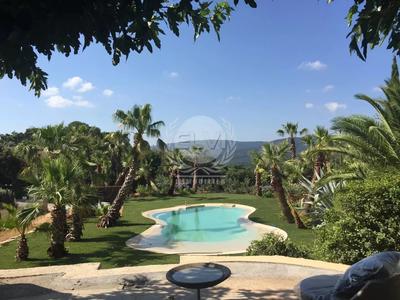 Viager - Maison - 307 m² - 6 pièces