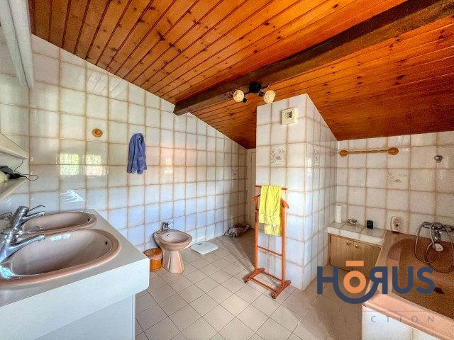 Viager - Maison - 205 m² - 8 pièces