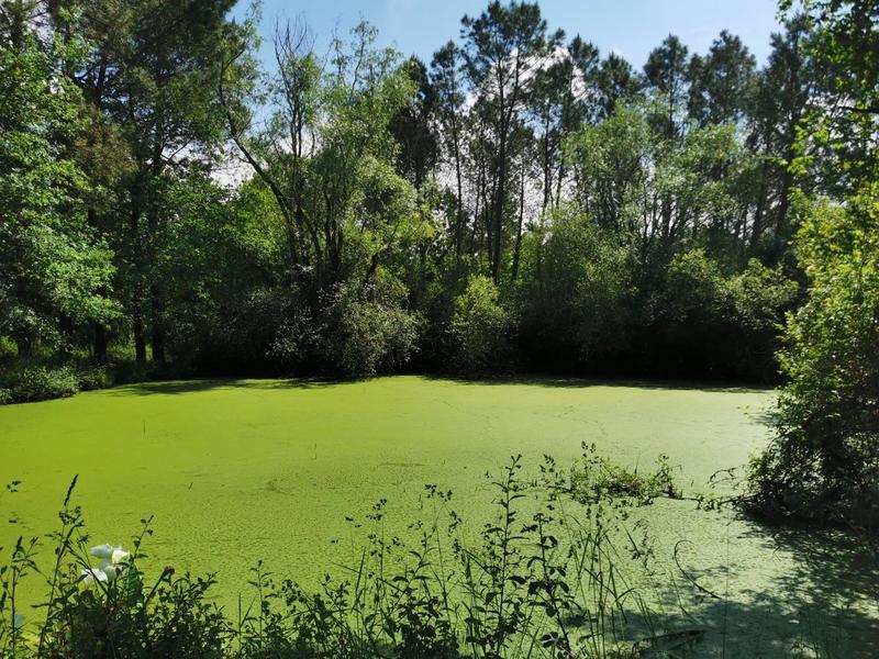 Maison en pierre - 198 m² - 5 pièces