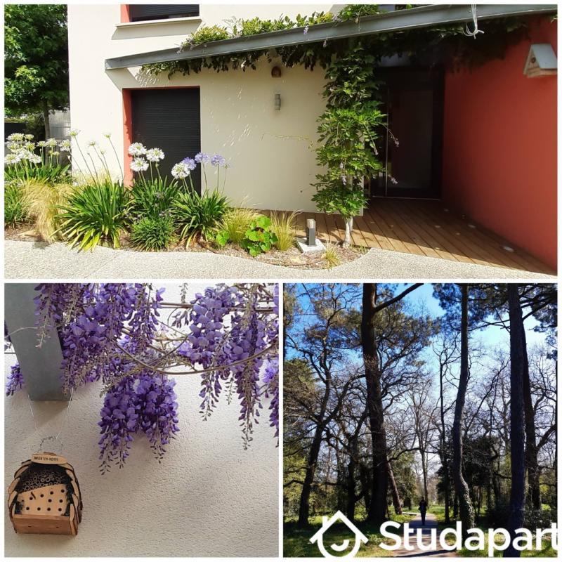 Chambre - 13 m² - 1 pièce