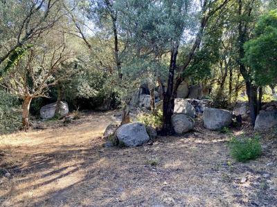 Terrain constructible - 7 644 m²