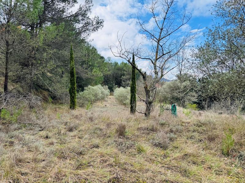 Maison - 176 m² - 7 pièces