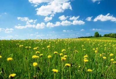 Terrain constructible - 604 m²