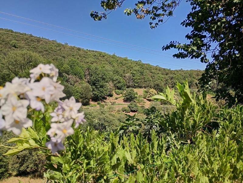 Mas - 134 m² - 5 pièces