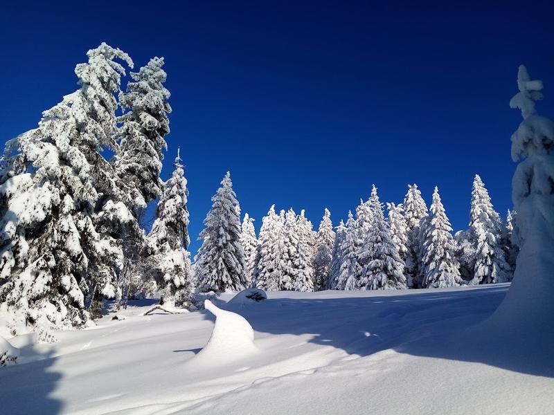 Balade nocturne en montagne hivernale