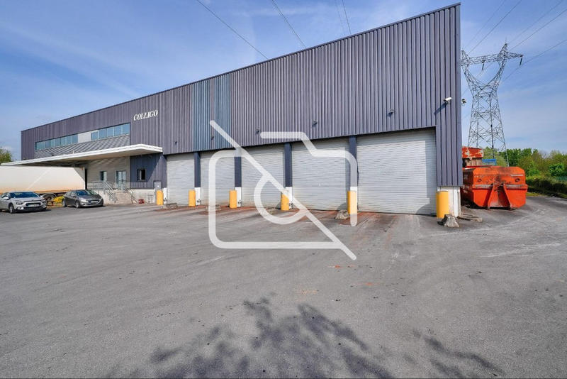 Entrepôt - 3 668 m²