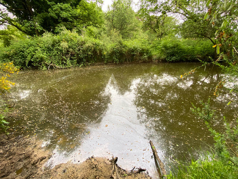 Maison - 305 m² - 10 pièces