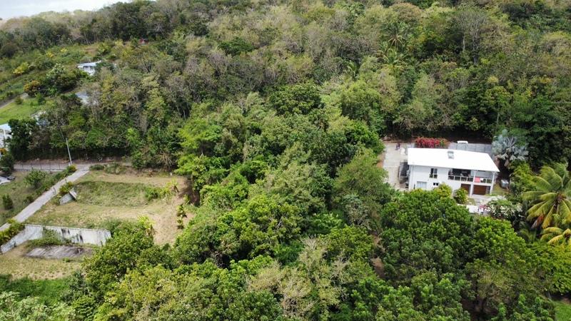 Terrain constructible - 1 981 m²