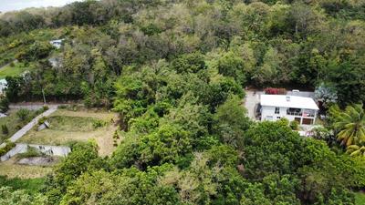 Terrain constructible - 1 981 m²