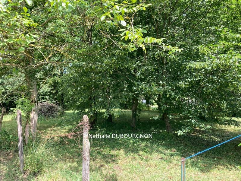 Terrain constructible - 896 m²