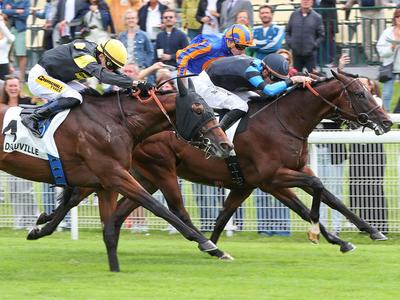 Courses hippiques - Haras d’Etreham Prix Jean Prat