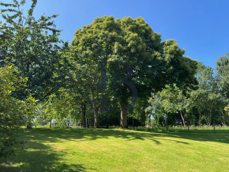 Maison ancienne - 130 m² - 6 pièces