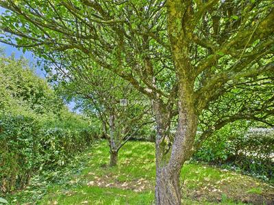 Ferme - 94 m² - 5 pièces