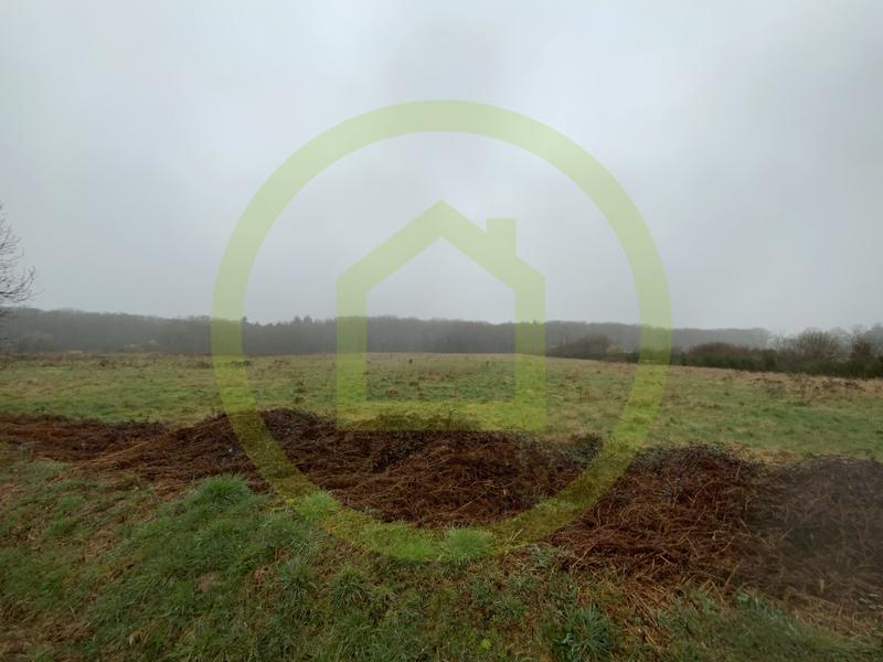 Terrain - 199 600 m²