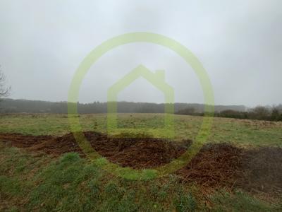 Terrain - 199 600 m²