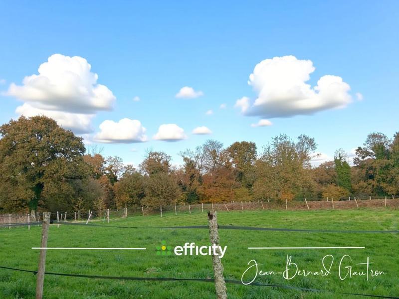 Maison en pierre - 144 m² - 7 pièces