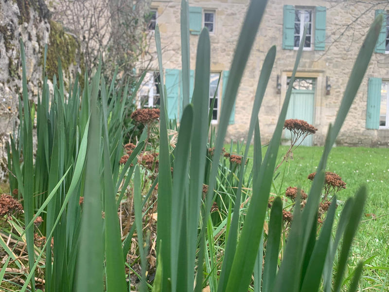 Maison - 247 m² - 9 pièces