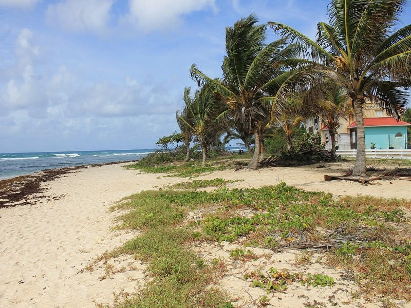 Appartement - 110 m² - 4 pièces