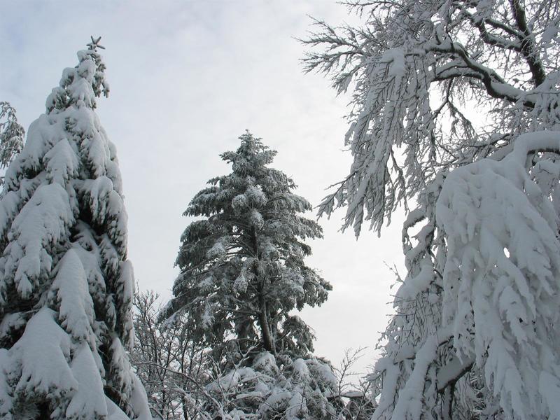 Atelier : création dans la neige