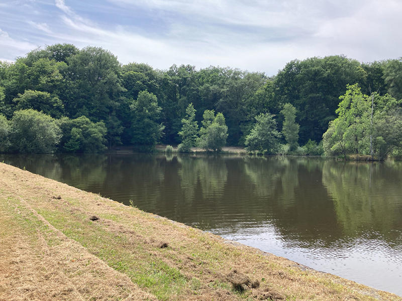 Terrain de loisirs - 27 500 m²