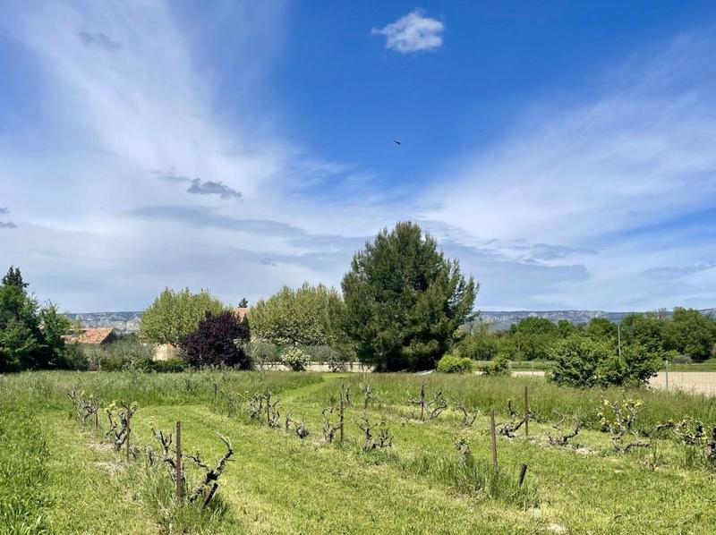 Maison - 250 m² - 7 pièces