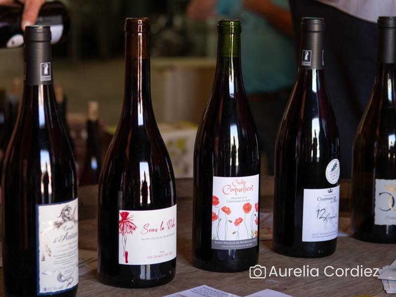 Visite-dégustation : Visite du domaine et histoire de l'appellation