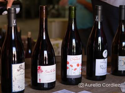 Visite-dégustation : Visite du domaine et histoire de l'appellation