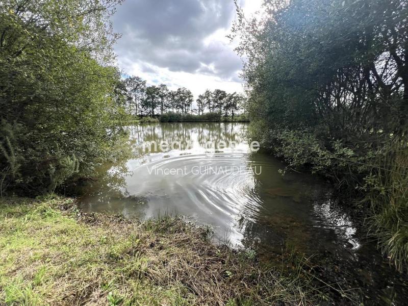 Terrain de loisirs - 12 539 m²