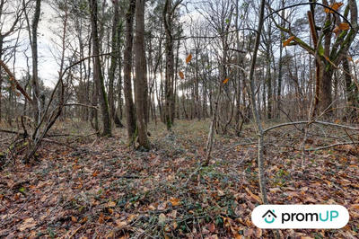 Terrain de loisirs - 770 m²