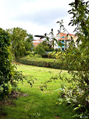 Appartement - 21 m² - 1 pièce