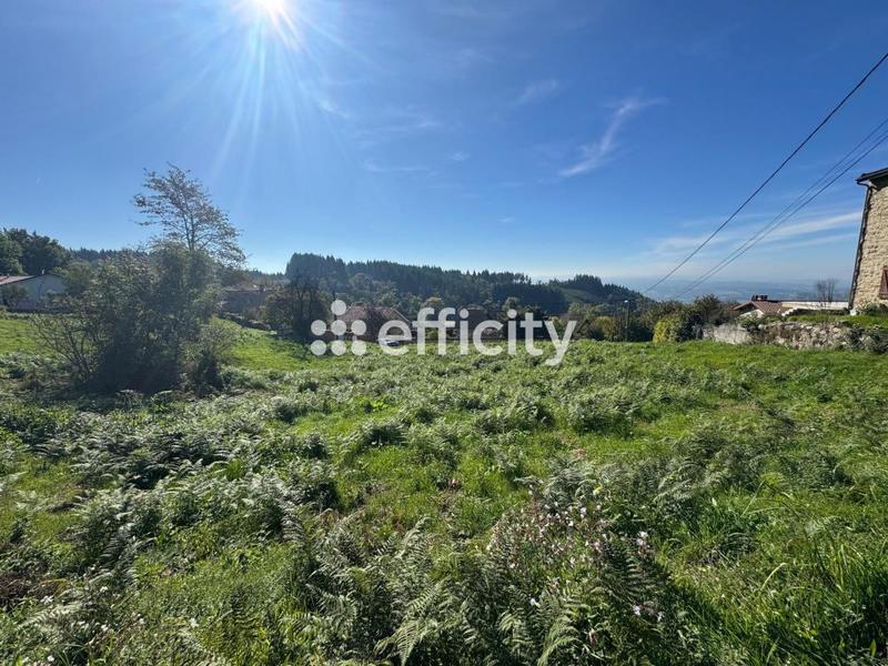 Terrain - 2 949 m²