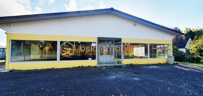 Bureau - 470 m² - 9 pièces