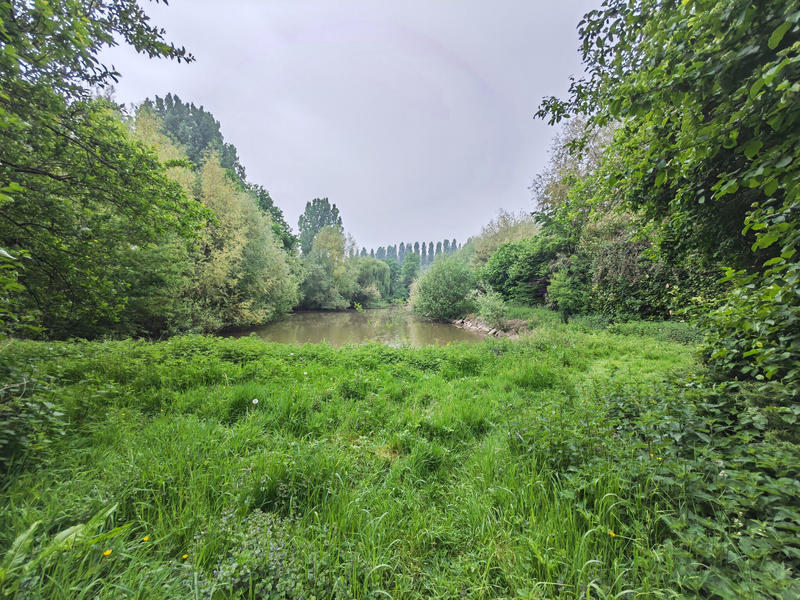 Terrain - 18 958 m²