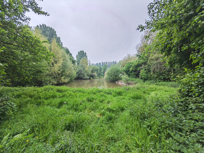 Terrain - 18 958 m²